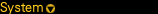 System